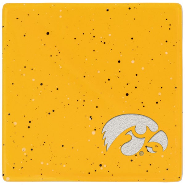 Iowa Hawkeyes Individual Speckled Coaster