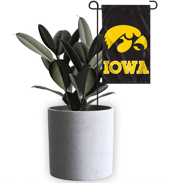 Iowa Hawkeyes Mini Garden Flag