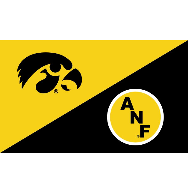 Iowa Hawkeyes 3' x 5' Split Design Flag