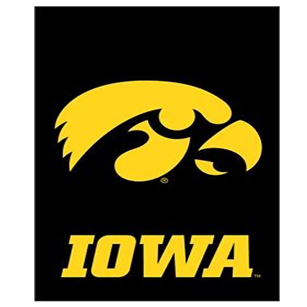 Iowa Hawkeyes Applique Garden Flag
