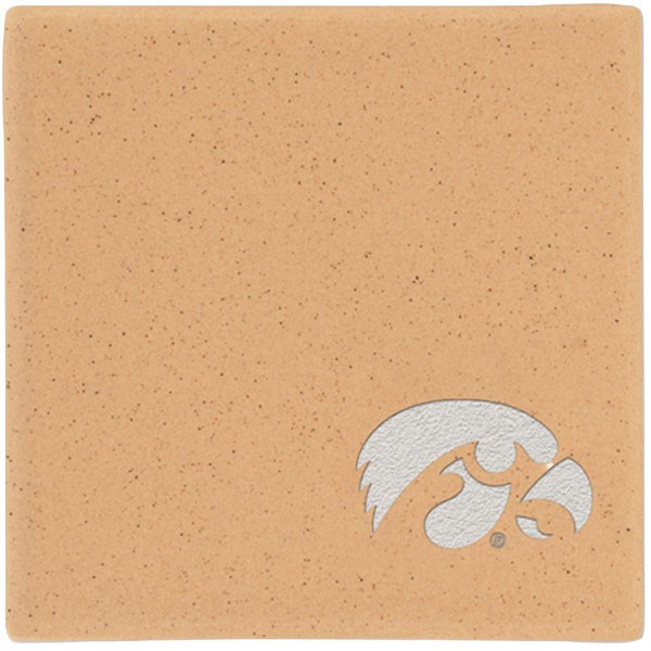 Iowa Hawkeyes Individual Sand Coaster