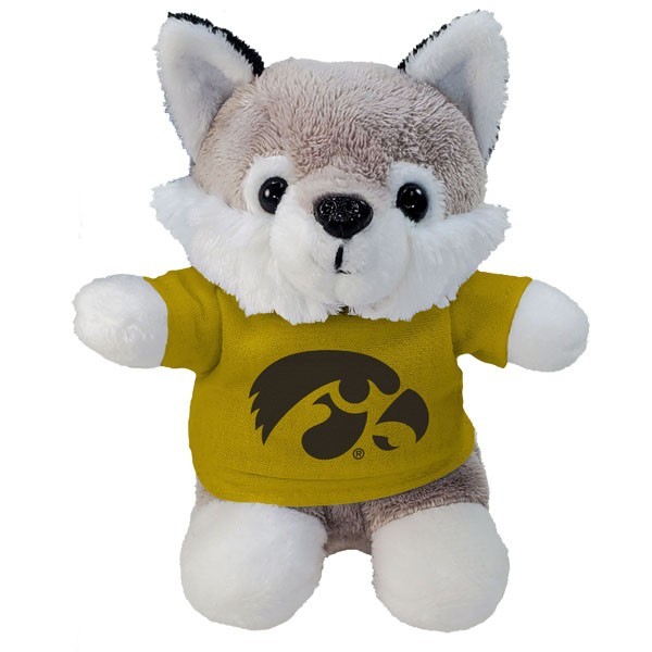 Iowa Hawkeyes Stubby Husky