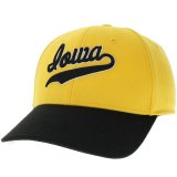 Iowa Hawkeyes Dome Flex-Fit Script Hat