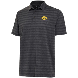 Iowa Hawkeyes Urge Polo