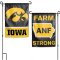 Iowa Hawkeyes ANF Garden Flag