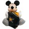 Iowa Hawkeyes Mickey Mouse and Blanket Set