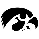 Iowa Hawkeyes Tigerhawk Mini Decal