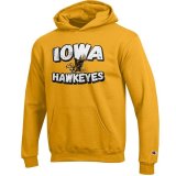 Iowa Hawkeyes Youth Power Blend Hoodie