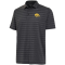 Iowa Hawkeyes Urge Polo