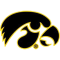 Iowa Hawkeyes Mutli Tigerhawk
